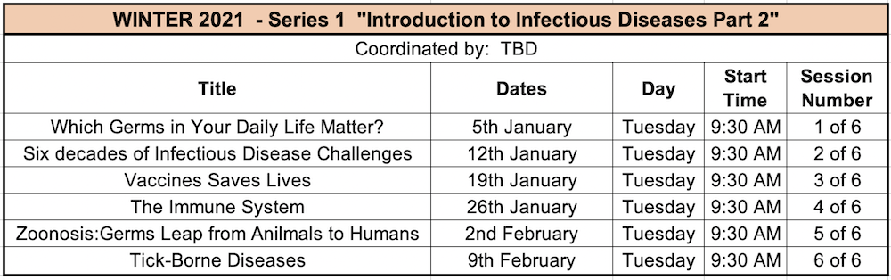 W2021 Series1 - clear